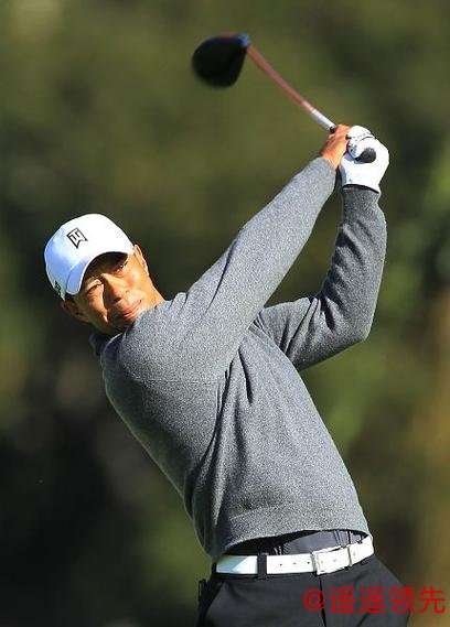 世界挑战赛伍兹做东不下场 舍夫勒引领20高手出战