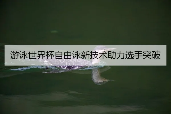 you-yong-shi-jie-bei-zi-you-yong-xin-ji-shu-zhu-li-xuan-shou-tu-po-2-432.jpg